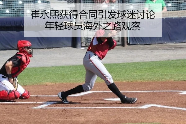 cui-yong-xi-huo-de-he-tong-yin-fa-qiu-mi-tao-lun-nian-qing-qiu-yuan-hai-wai-zhi-lu-guan-cha-2-322.jpg